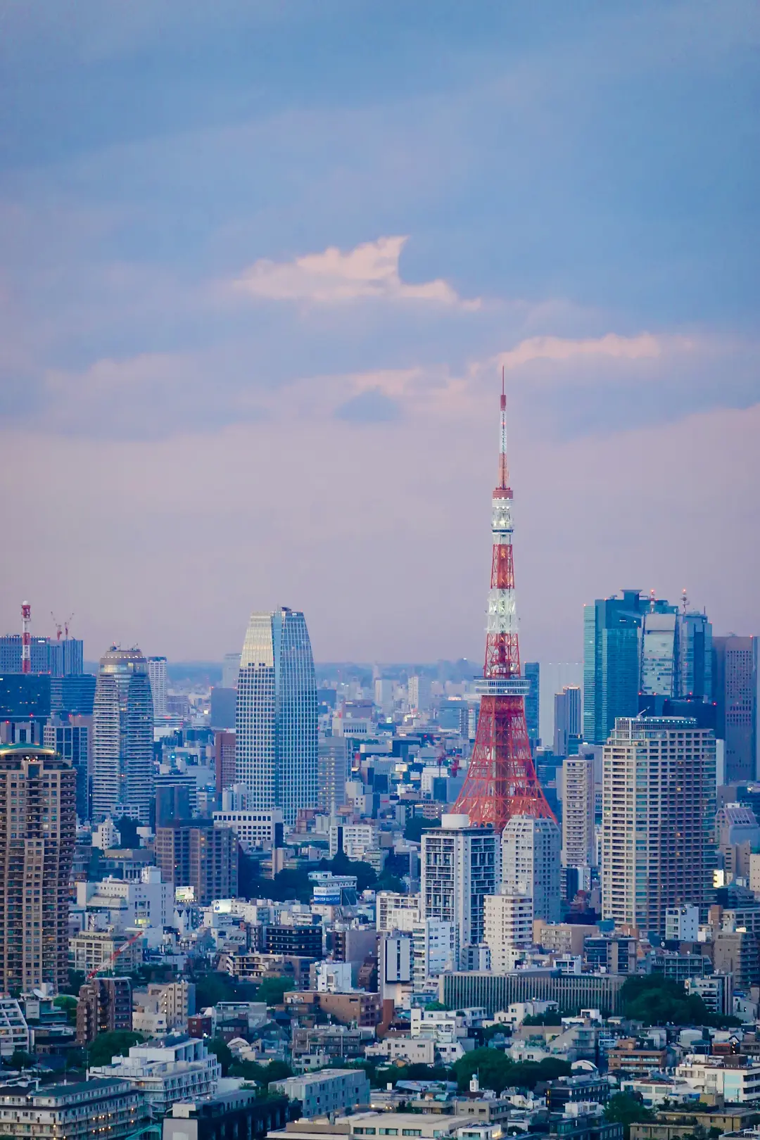 Tokyo-11 Days ofTravel itinerary reference:Tokyo Tower,Sensoji Temple,Kawaramachi,Arashiyama