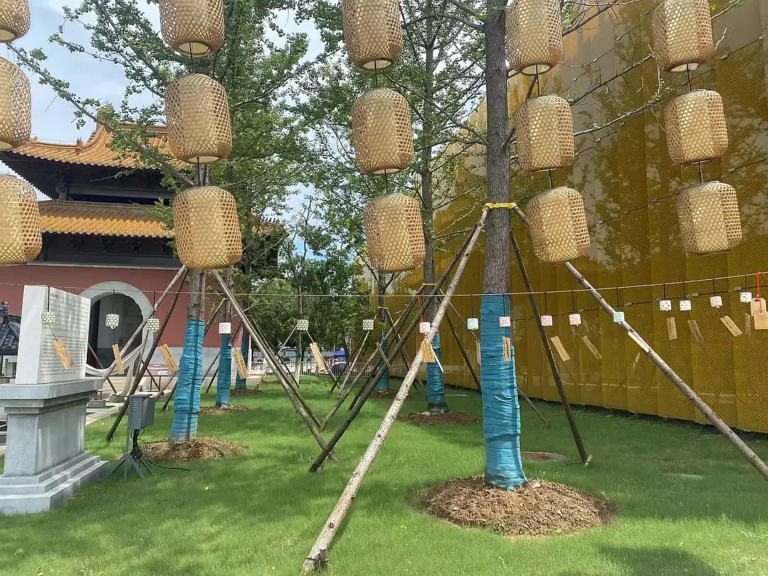 Shanghai/Hangzhou-Travel Notes of Nanjing | Wuyi Alley, Old Dreams of Jinling, Three Dia