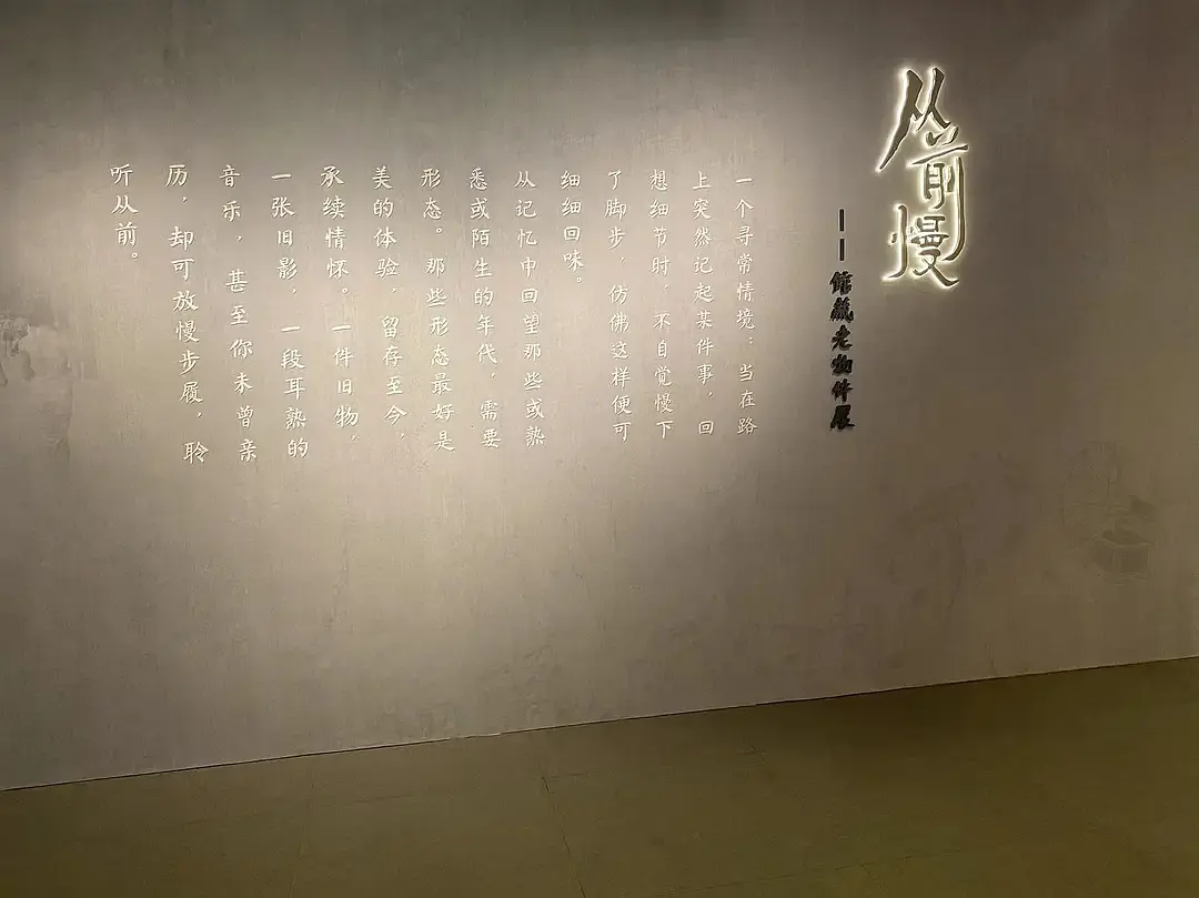 Shanghai/Hangzhou-Travel Notes of Nanjing | Wuyi Alley, Old Dreams of Jinling, Three Dia
