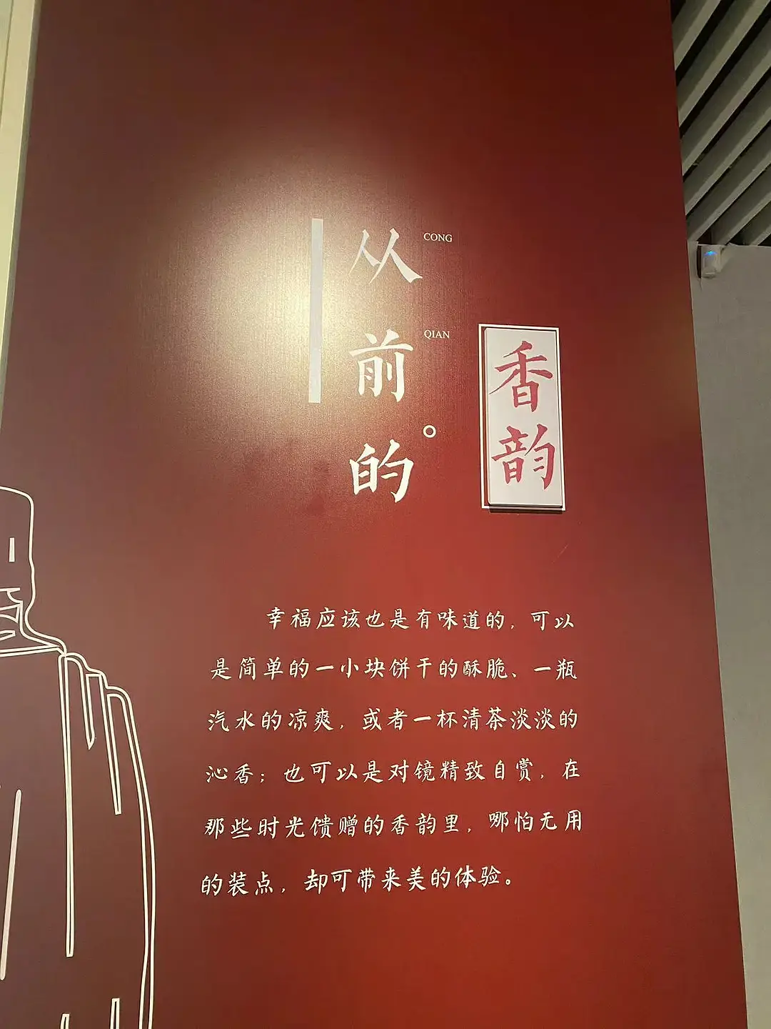 Shanghai/Hangzhou-Travel Notes of Nanjing | Wuyi Alley, Old Dreams of Jinling, Three Dia