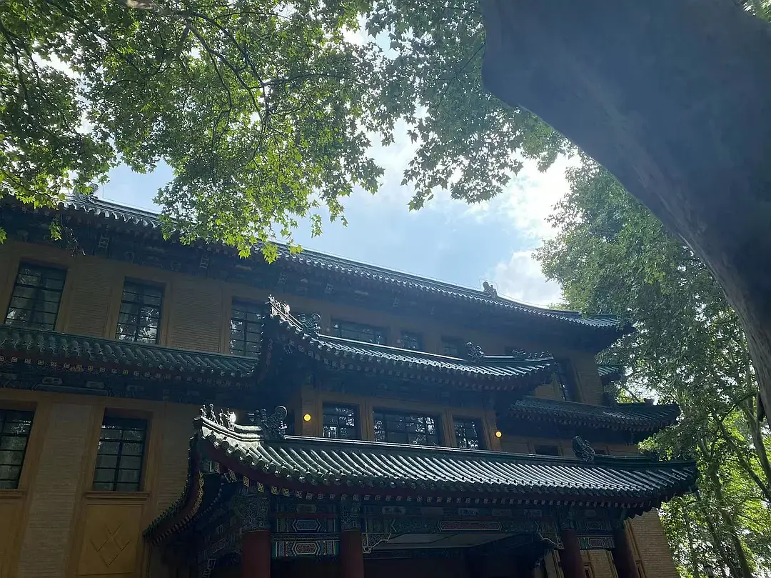 Shanghai/Hangzhou-Travel Notes of Nanjing | Wuyi Alley, Old Dreams of Jinling, Three Dia