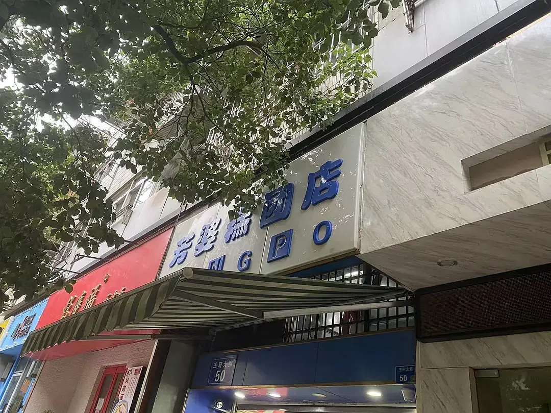 Shanghai/Hangzhou-Travel Notes of Nanjing | Wuyi Alley, Old Dreams of Jinling, Three Dia