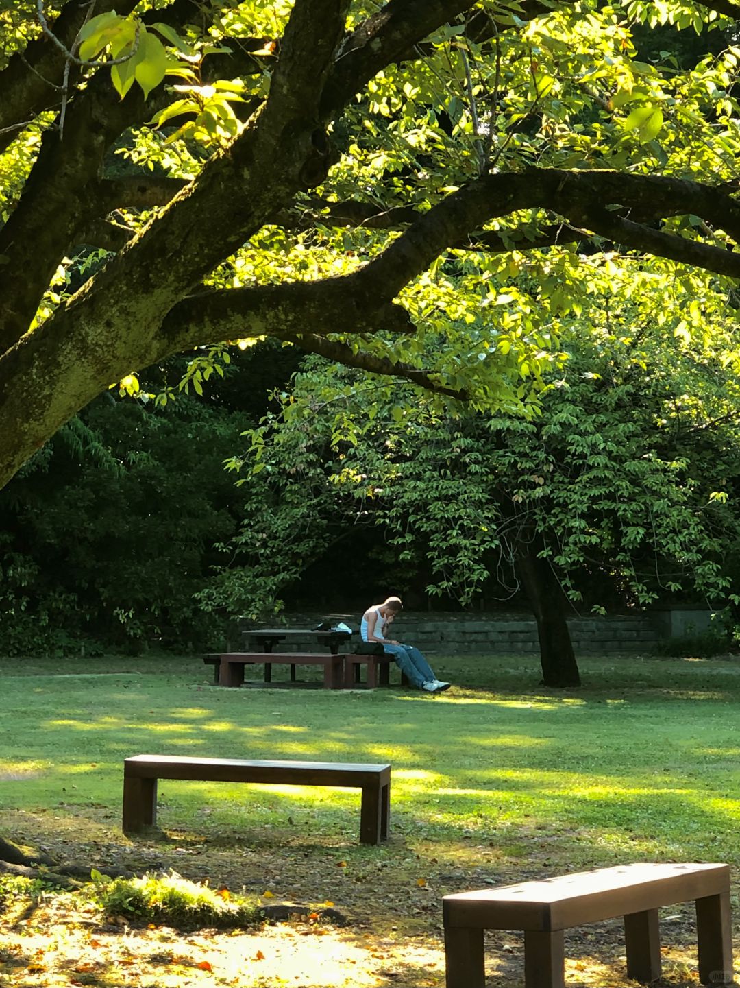 Tokyo-Places full of art, history and culture: Kiyosumi Garden,Blue Bottle Coffee, Modern Museum of Modern Art