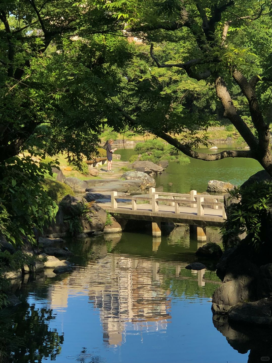 Tokyo-Places full of art, history and culture: Kiyosumi Garden,Blue Bottle Coffee, Modern Museum of Modern Art