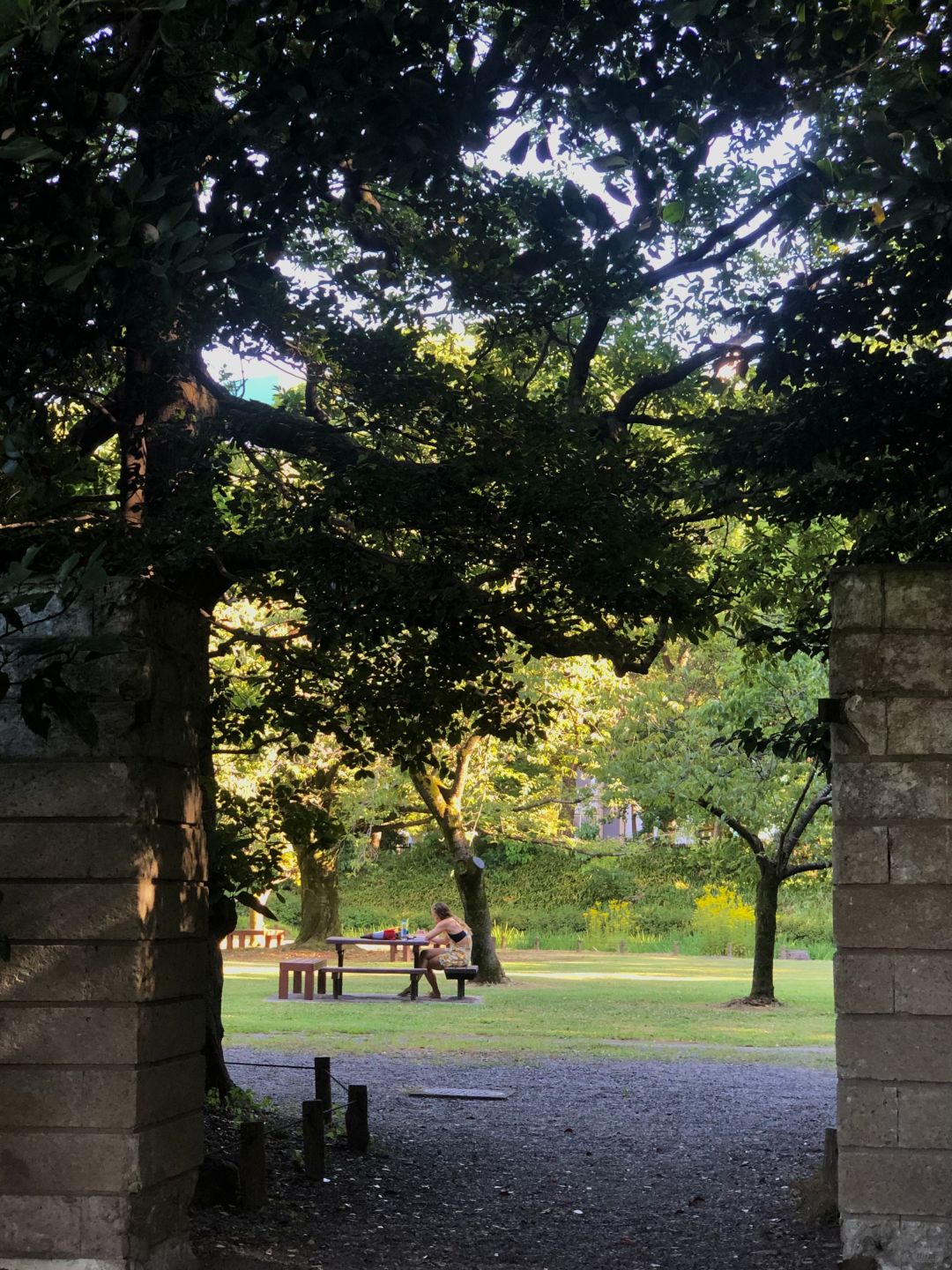 Tokyo-Places full of art, history and culture: Kiyosumi Garden,Blue Bottle Coffee, Modern Museum of Modern Art
