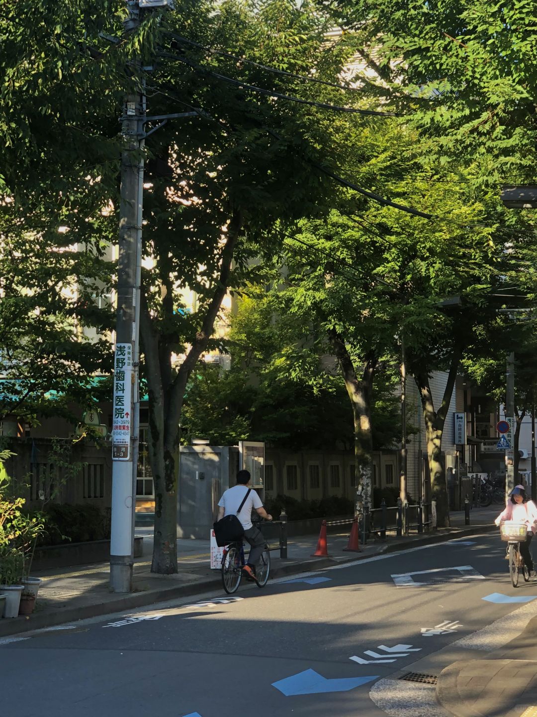 Tokyo-Places full of art, history and culture: Kiyosumi Garden,Blue Bottle Coffee, Modern Museum of Modern Art