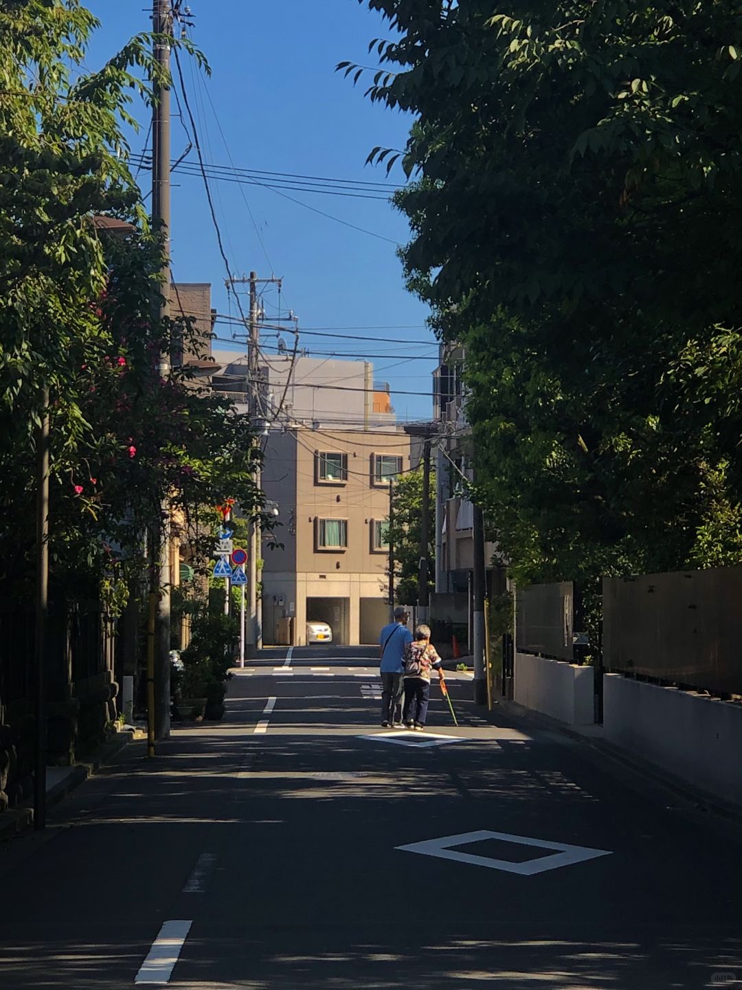 Tokyo-Places full of art, history and culture: Kiyosumi Garden,Blue Bottle Coffee, Modern Museum of Modern Art
