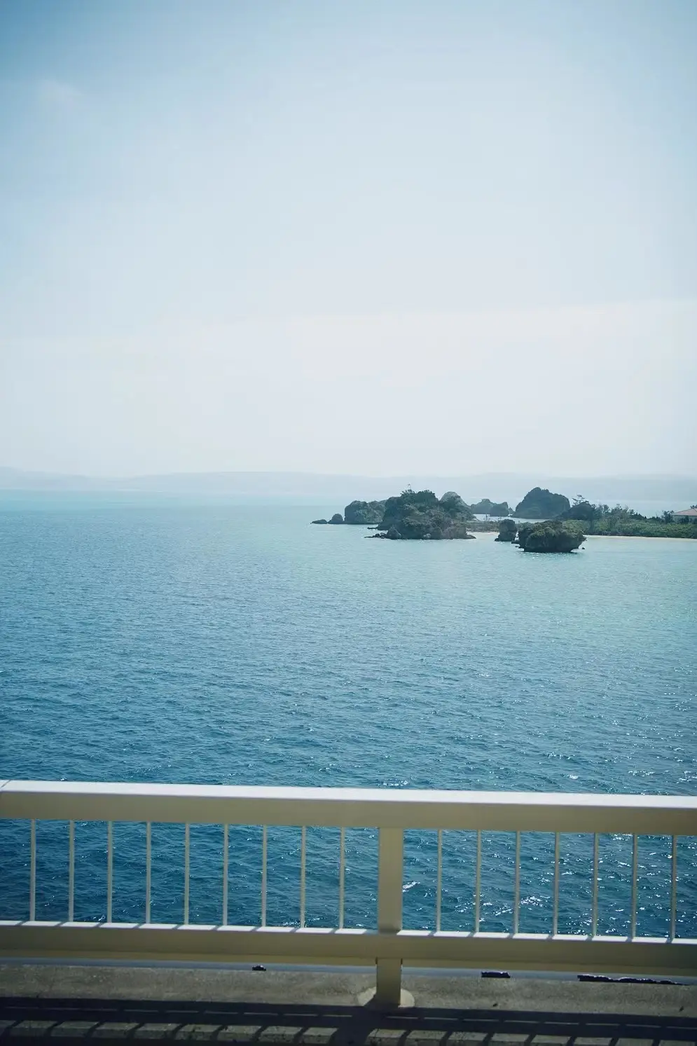 Okinawa-Unfulfilled Okinawa Dream Turned into a Journey of Discovery--Churaumi Aquarium,Tokashiki Island,Senaga Island