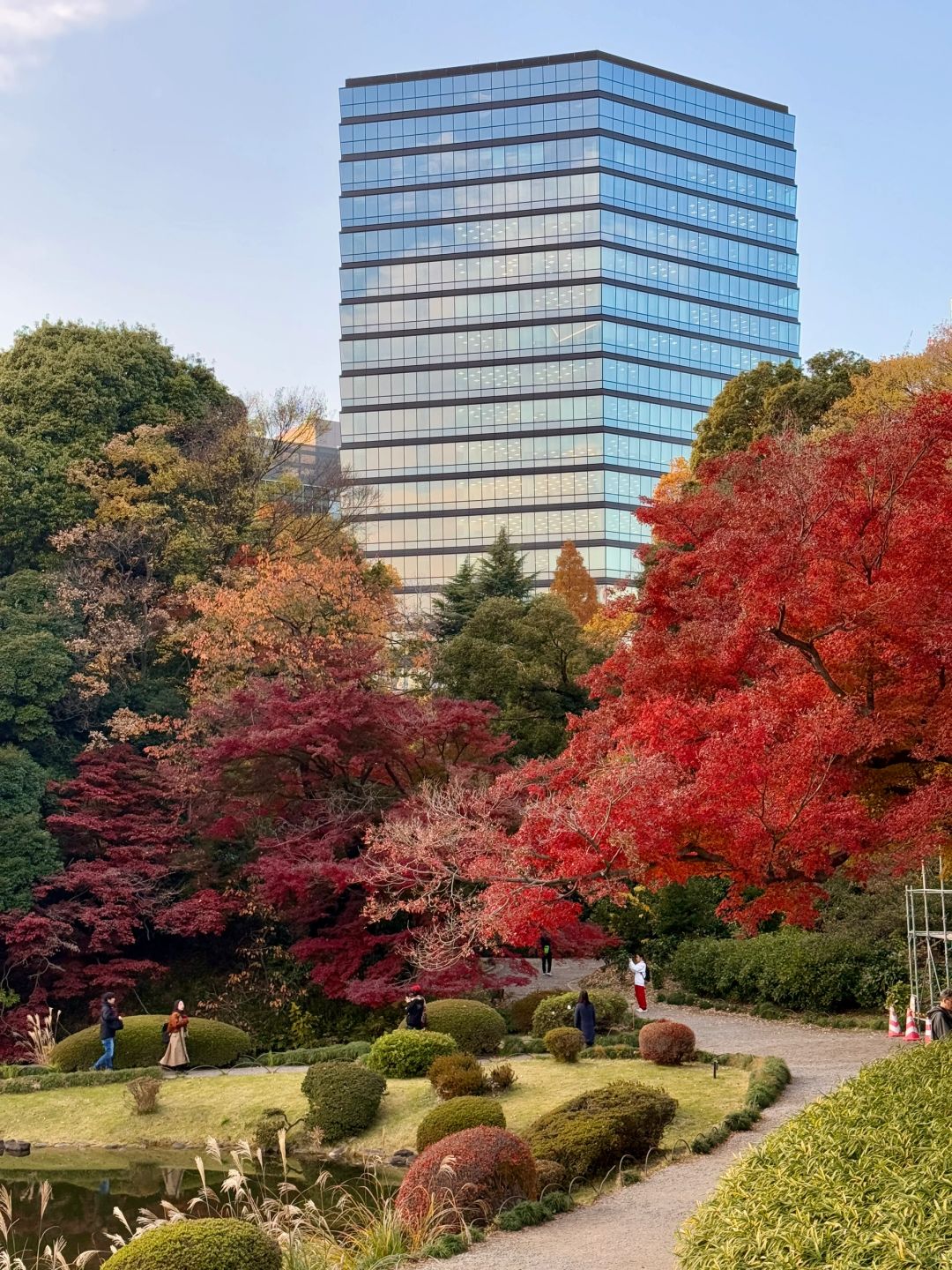 Tokyo-Enjoy the red leaves, ginkgo trees and warm sunset in a quiet park in Tokyo, Japan