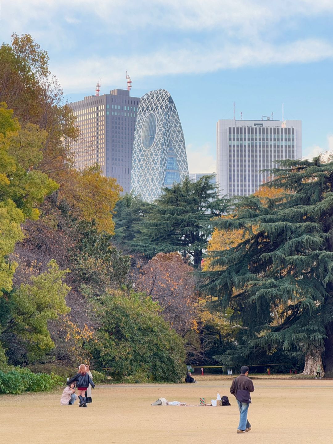 Tokyo-Enjoy the red leaves, ginkgo trees and warm sunset in a quiet park in Tokyo, Japan