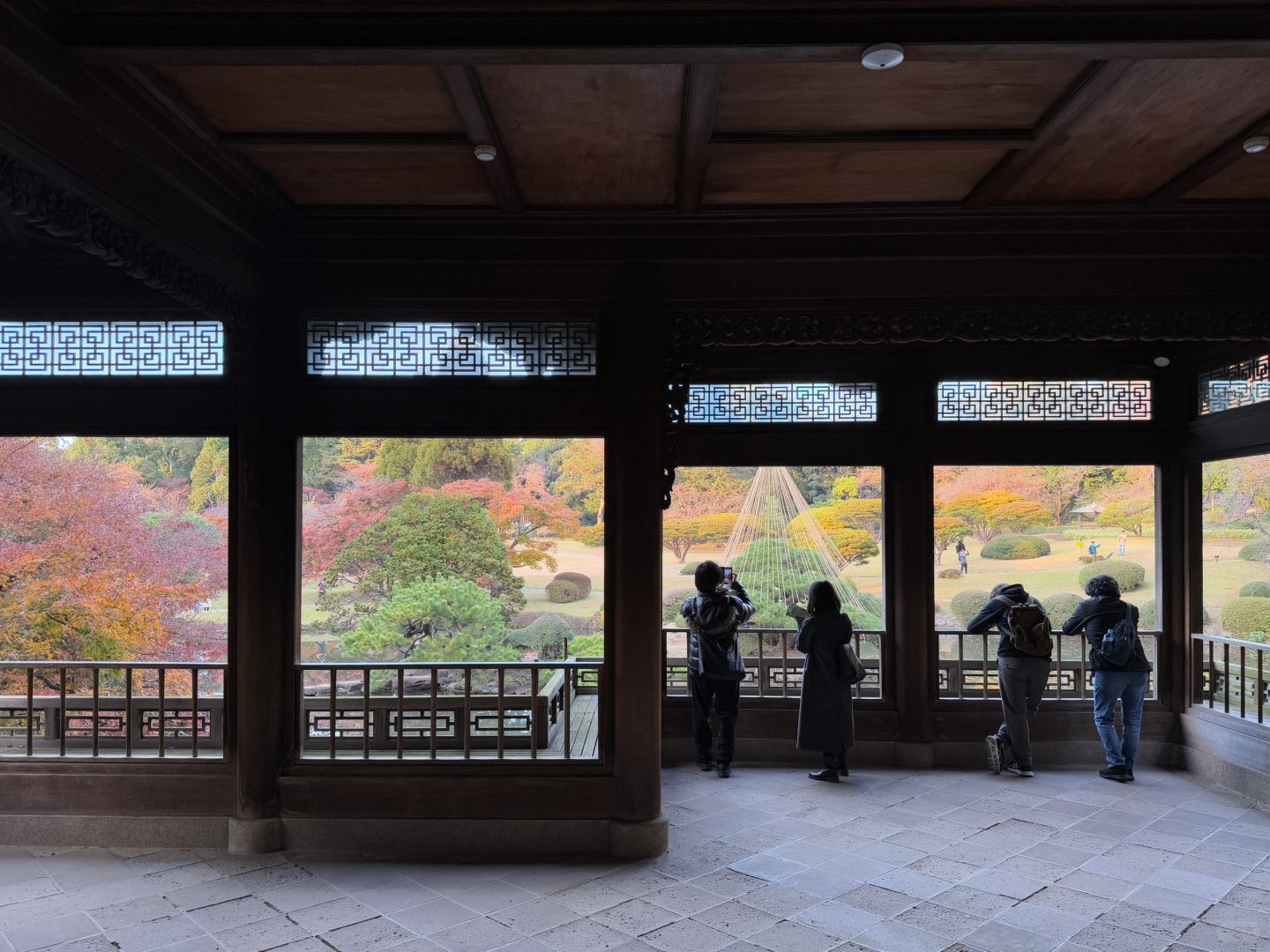 Tokyo-Enjoy the red leaves, ginkgo trees and warm sunset in a quiet park in Tokyo, Japan