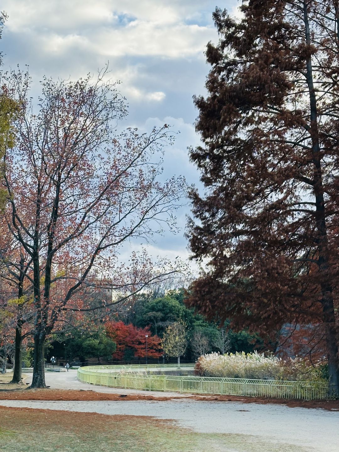 Osaka-Nagai Park of Osaka Park:natural,beautiful,clean with winding paths