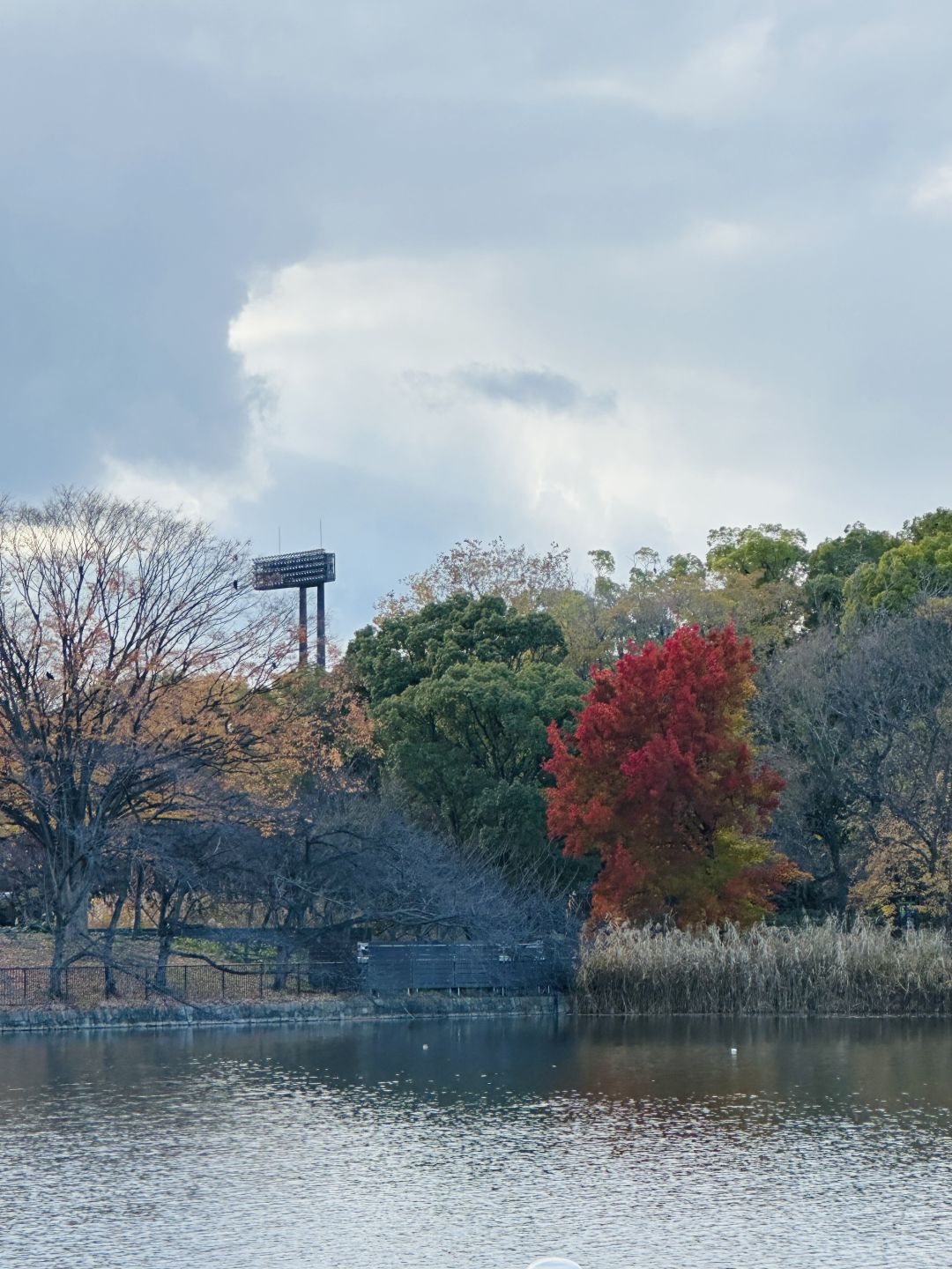 Osaka-Nagai Park of Osaka Park:natural,beautiful,clean with winding paths