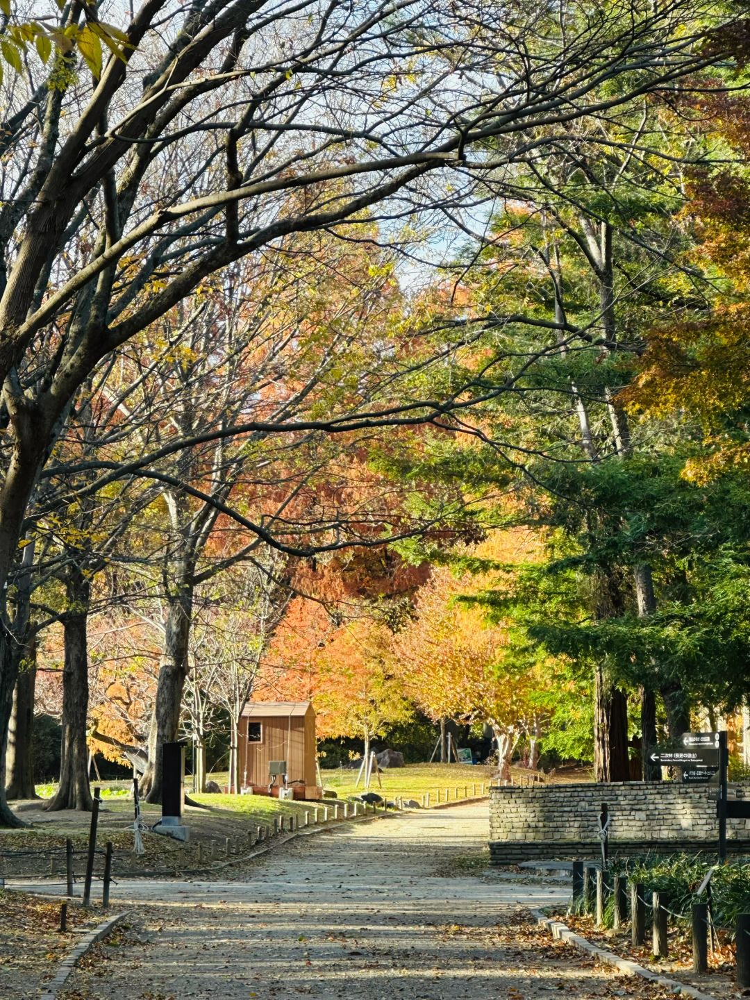 Osaka-Nagai Park of Osaka Park:natural,beautiful,clean with winding paths