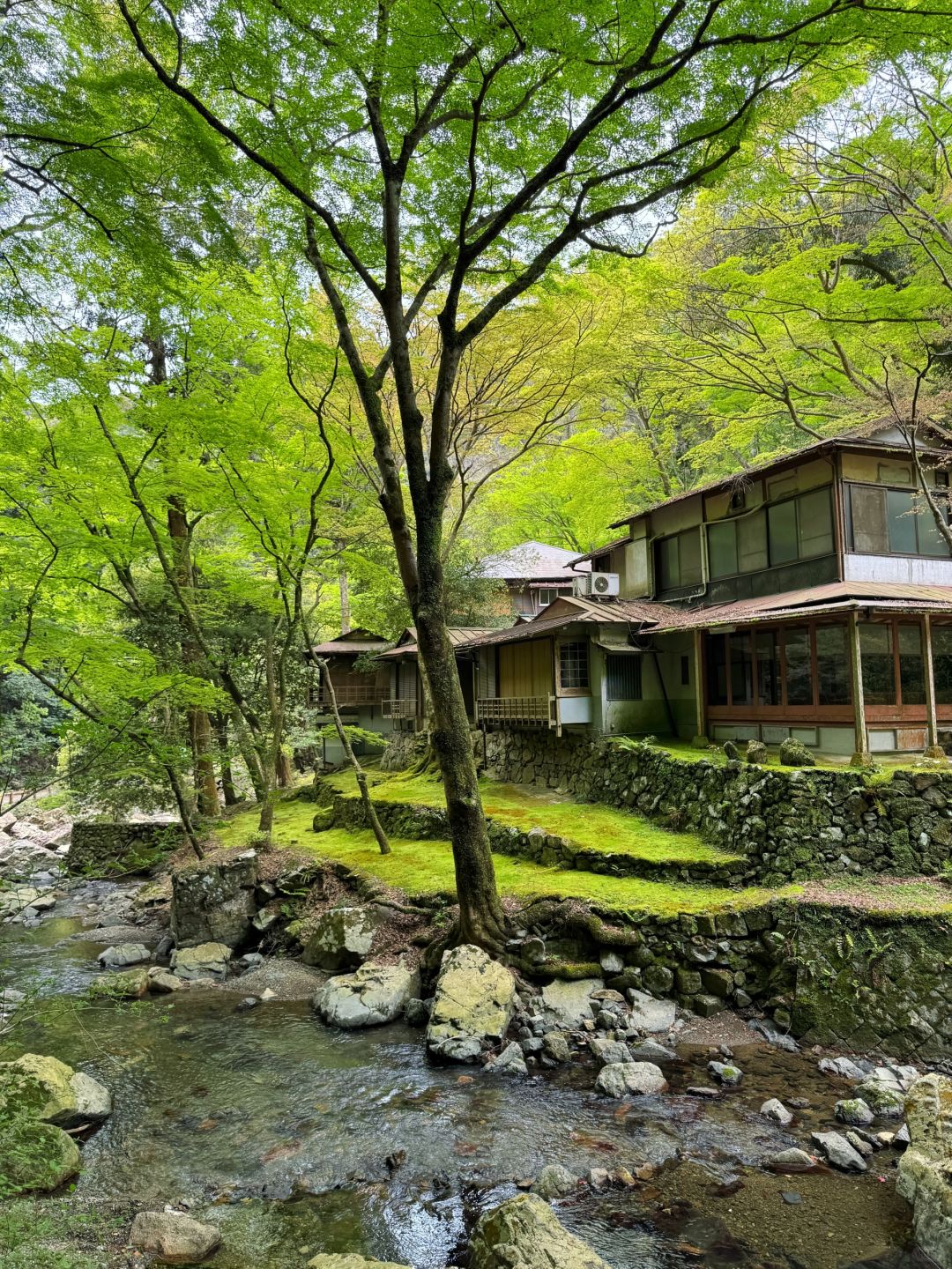Osaka-Yumen Park full of greenery,The Katsuo Daruma Temple are worth visiting.