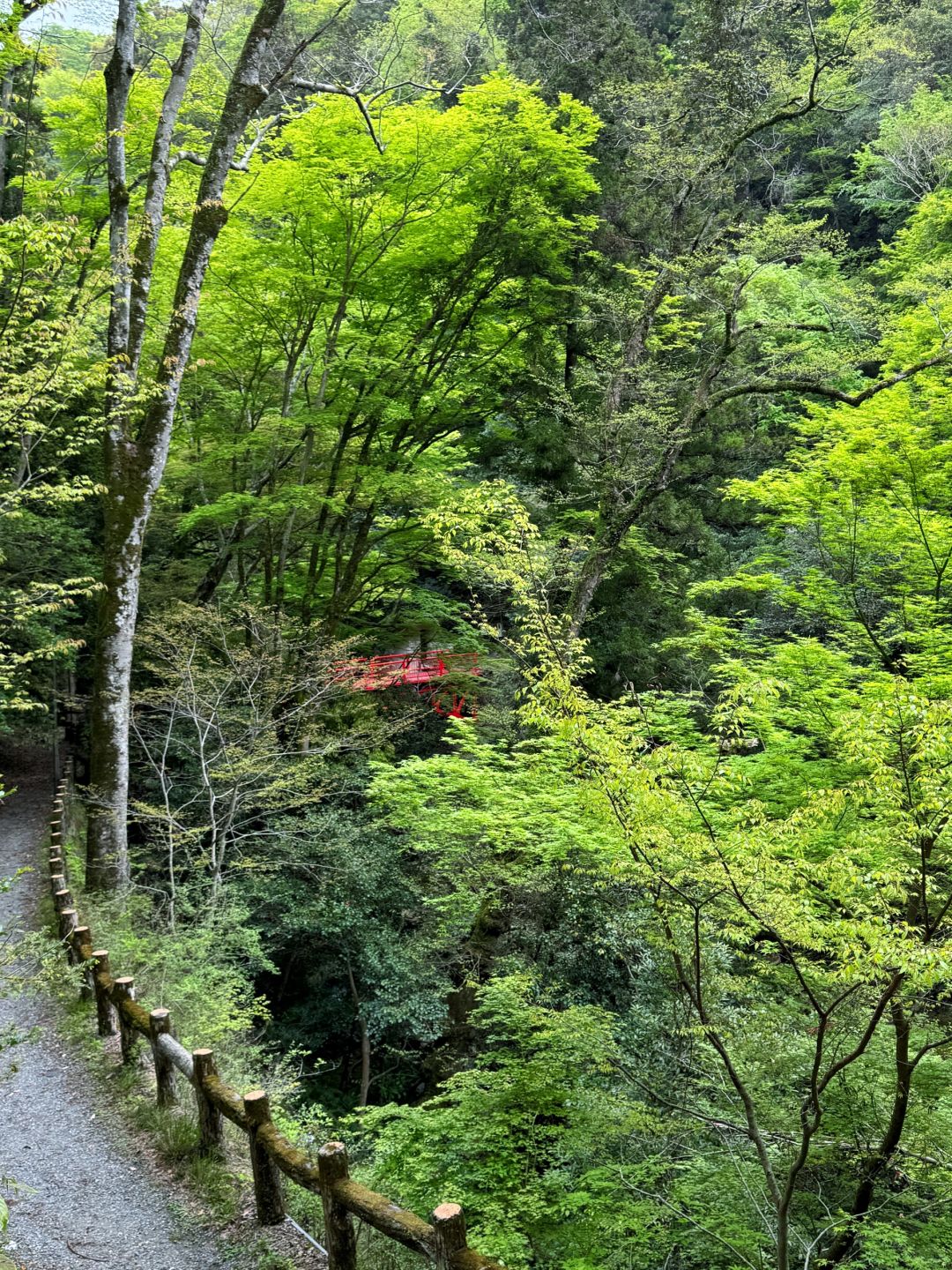 Osaka-Yumen Park full of greenery,The Katsuo Daruma Temple are worth visiting.