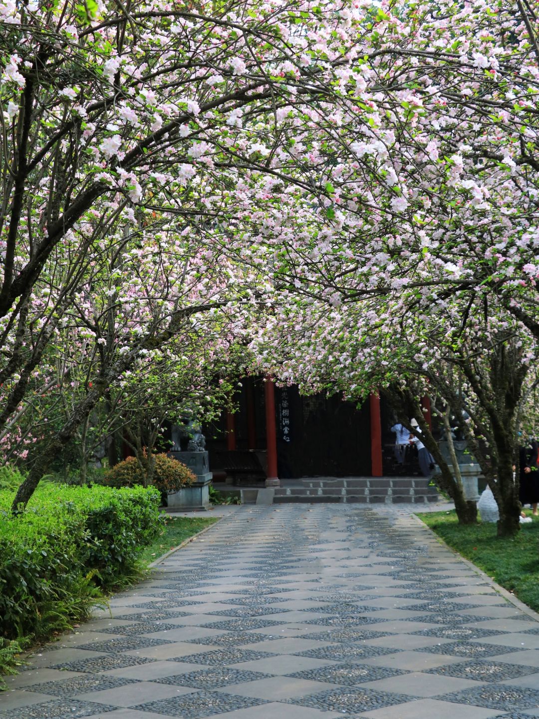 Chengdu/Chongqing-Advice: Visit these 5 parks before leaving Chengdu~