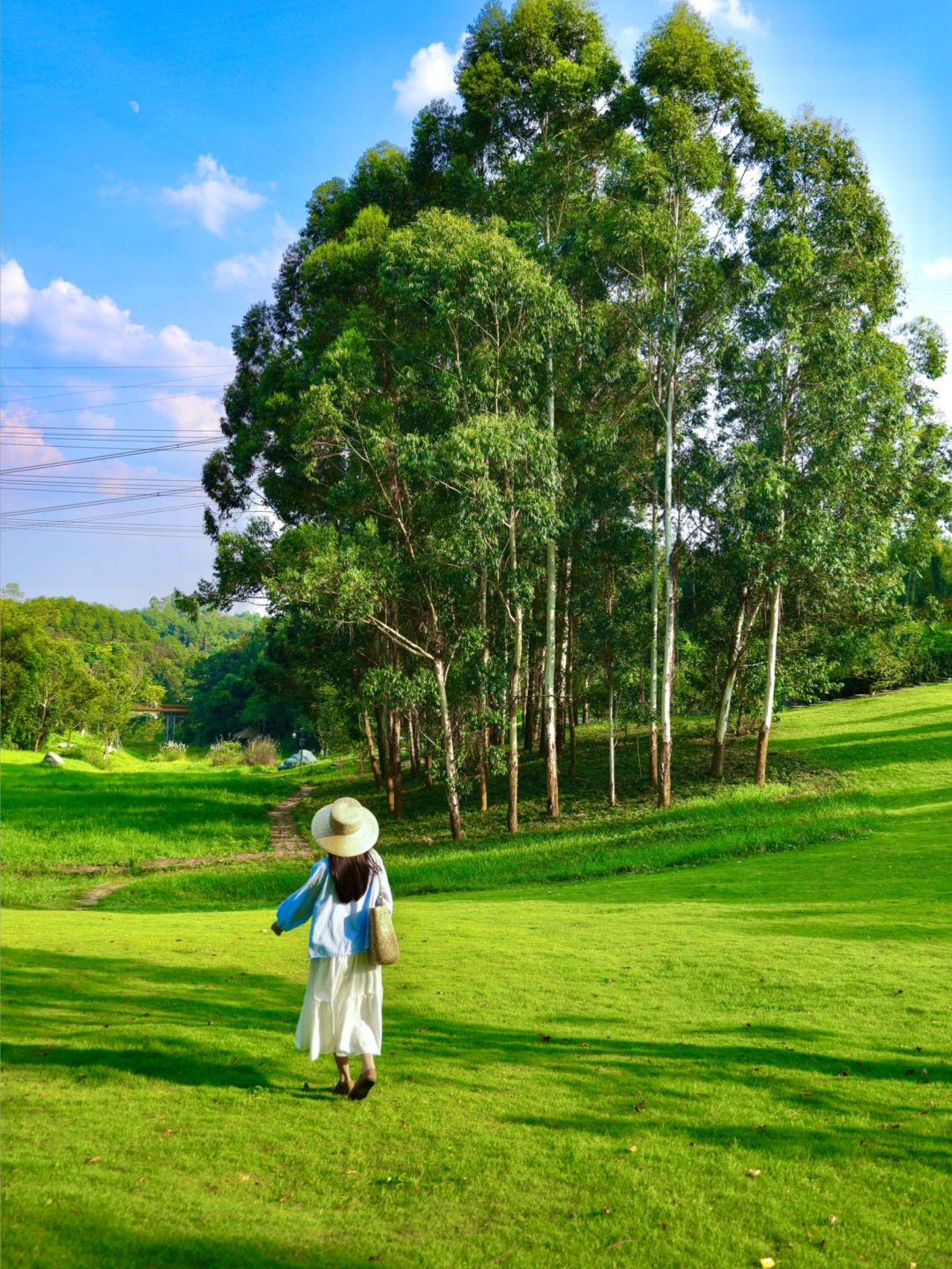 Chengdu/Chongqing-9 parks in Tianfu New District, Chengdu that you have wanted to visit ！