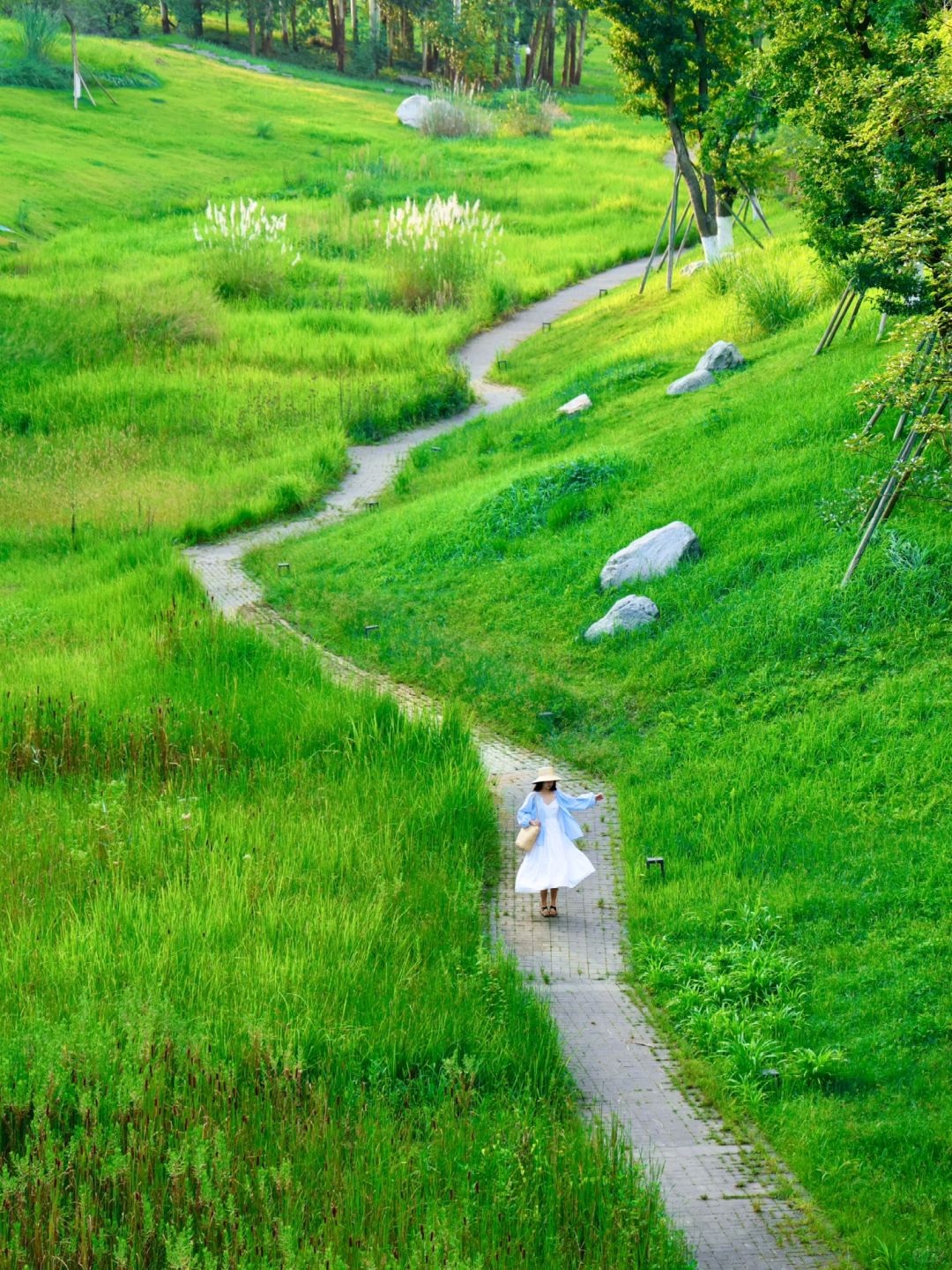 Chengdu/Chongqing-9 parks in Tianfu New District, Chengdu that you have wanted to visit ！