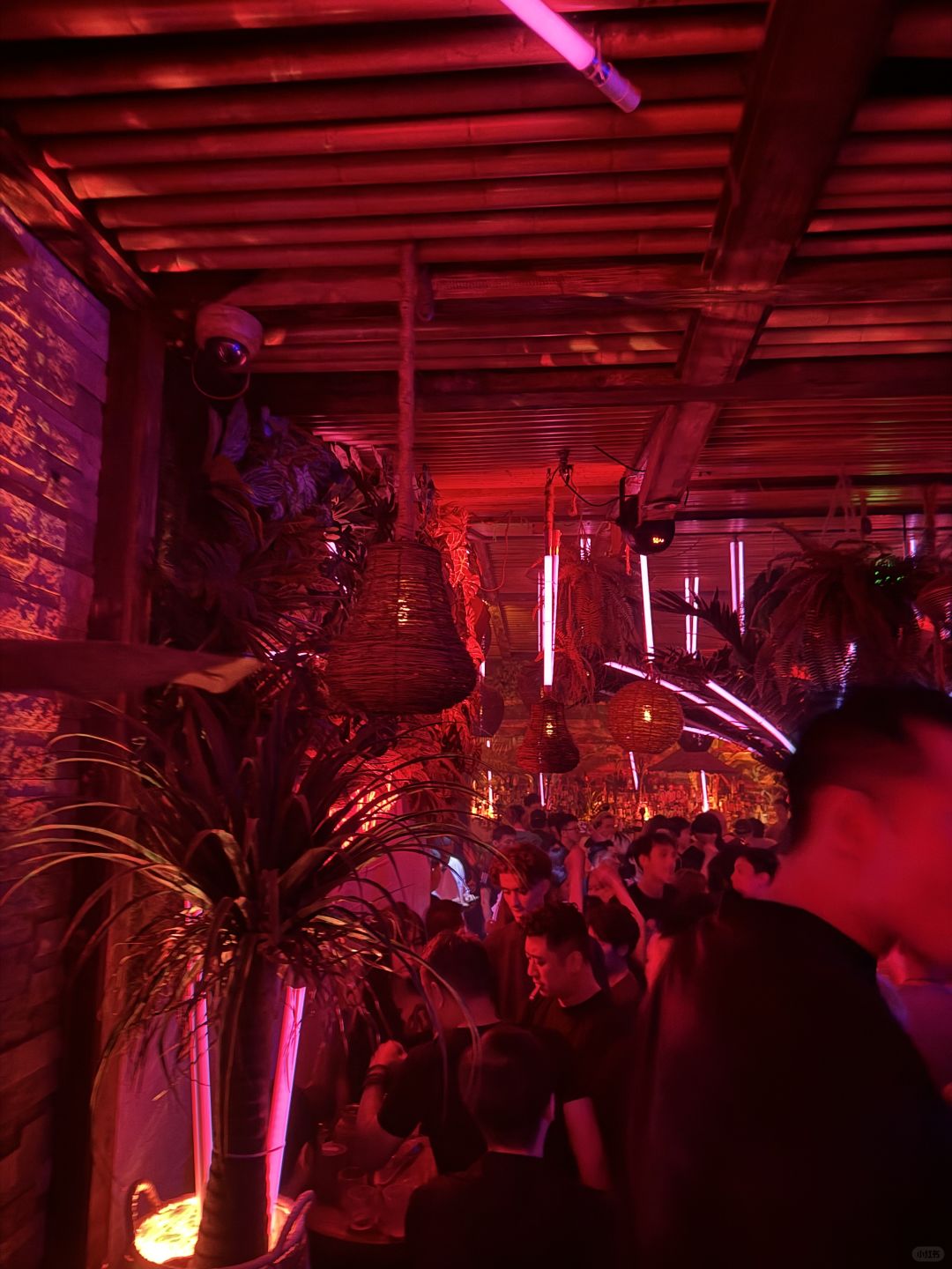 Chengdu/Chongqing-Bamboo, the most Asian treasure bar in Chengdu！