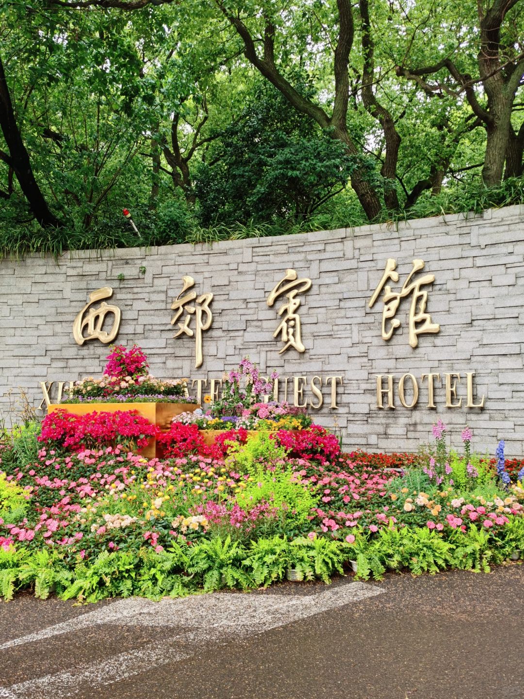 Shanghai/Hangzhou-At the Xijiao Hotel in Shanghai, peacocks and red crowned cranes will appear directly outside the room windows!