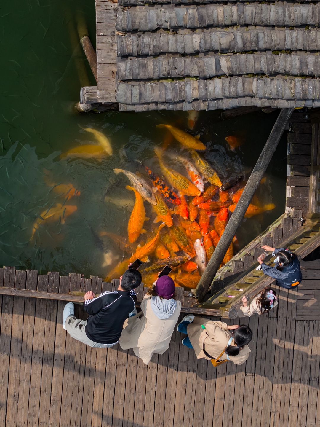 Shanghai/Hangzhou-If you come to Wuzhen in autumn, please copy this travel guide directl!
