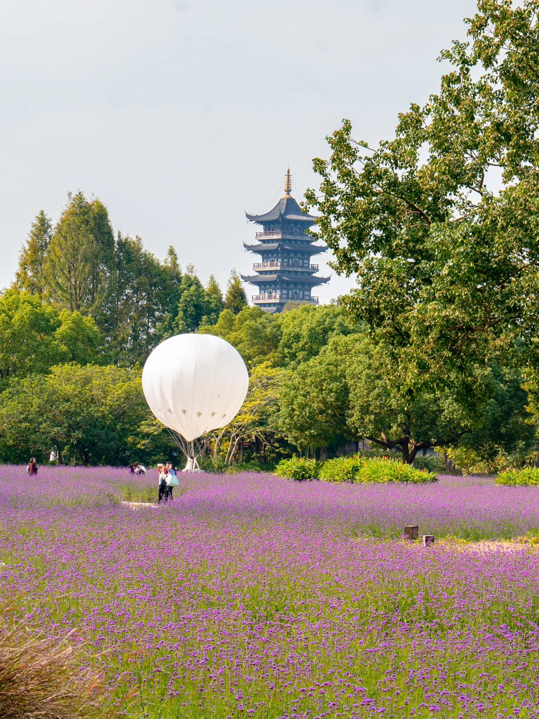Shanghai/Hangzhou-If you come to Wuzhen in autumn, please copy this travel guide directl!