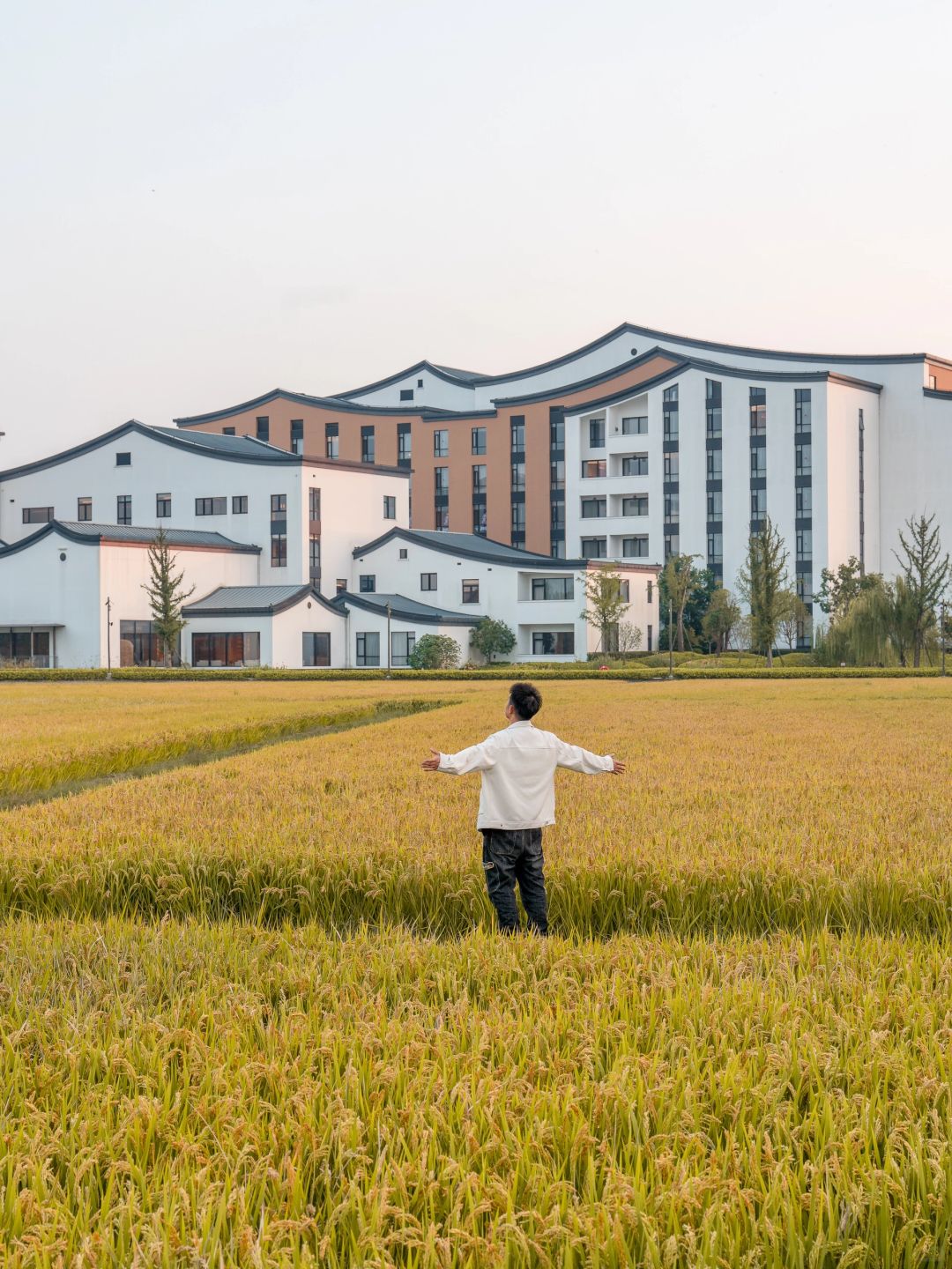 Shanghai/Hangzhou-If you come to Wuzhen in autumn, please copy this travel guide directl!