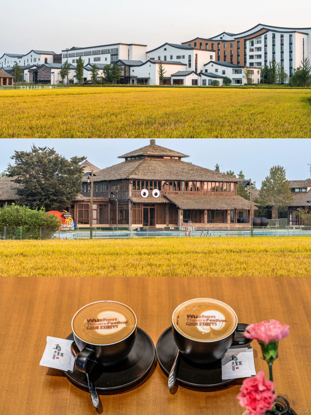 Shanghai/Hangzhou-If you come to Wuzhen in autumn, please copy this travel guide directl!
