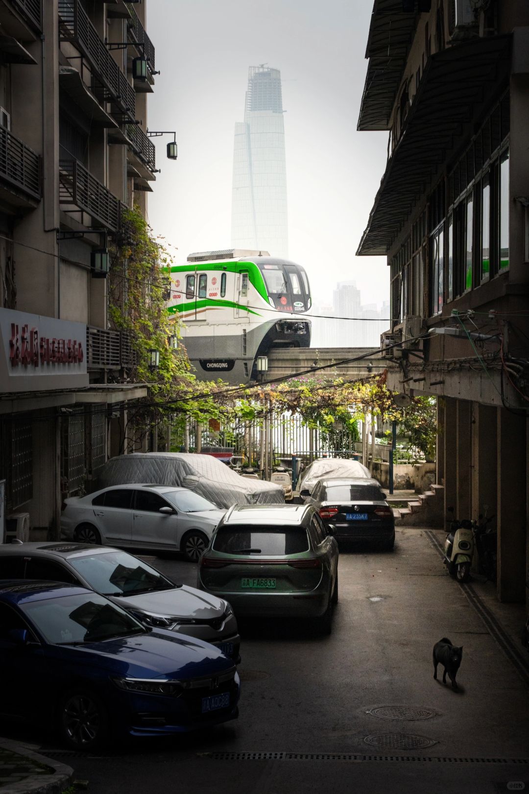 Chengdu/Chongqing-These 18 scenic camera positions in Chongqing are really amazing！