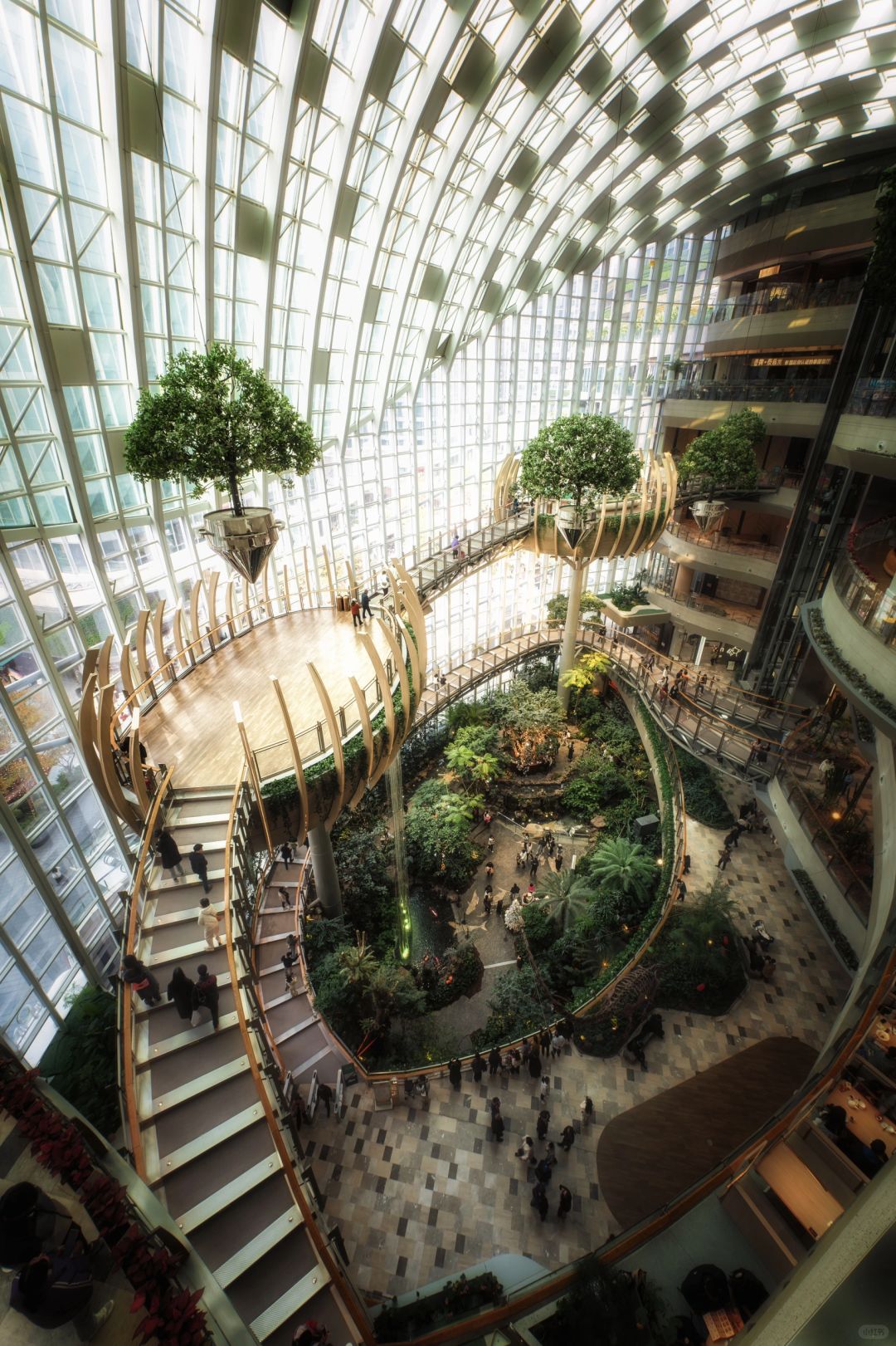 Chengdu/Chongqing-These 18 scenic camera positions in Chongqing are really amazing！