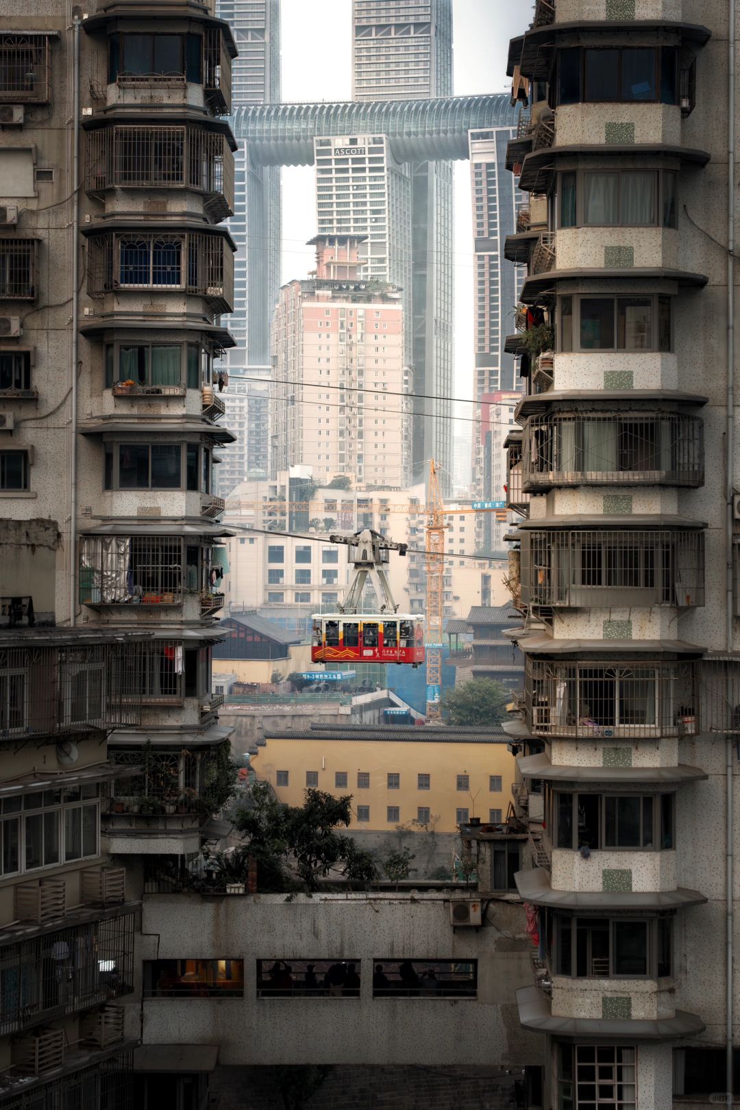 Chengdu/Chongqing-These 18 scenic camera positions in Chongqing are really amazing！