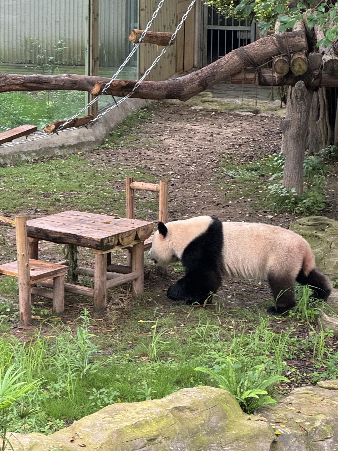 Chengdu/Chongqing-Chongqing really doesn't have a low season for tourism, but there are many scams here!