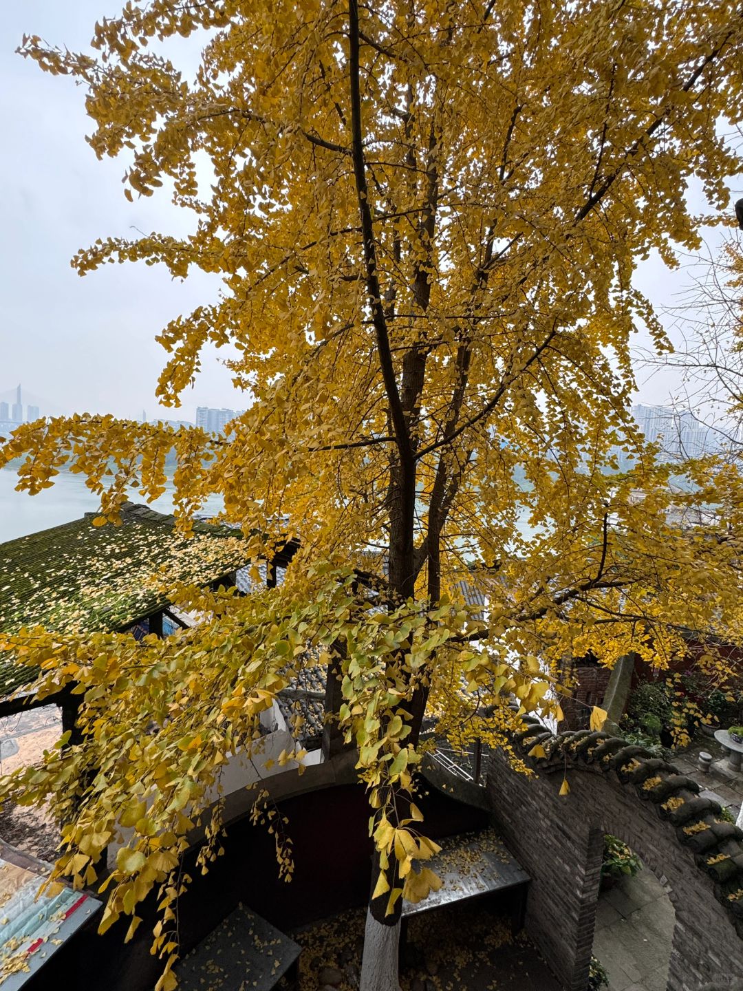 Chengdu/Chongqing-Chongqing really doesn't have a low season for tourism, but there are many scams here!
