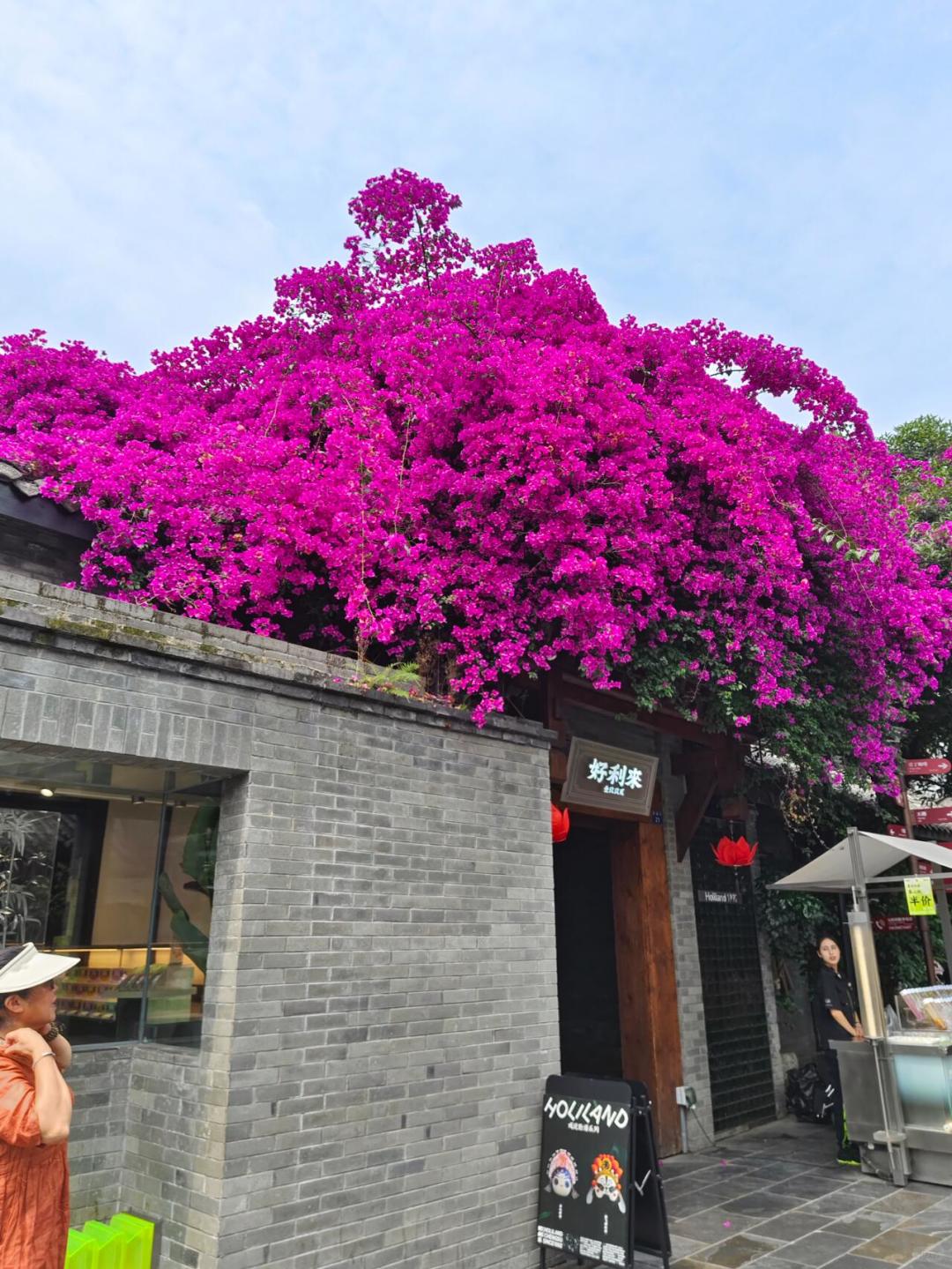 Chengdu/Chongqing-If you don't take a walk on these streets, you won't feel the authentic Chengdu lifestyle!