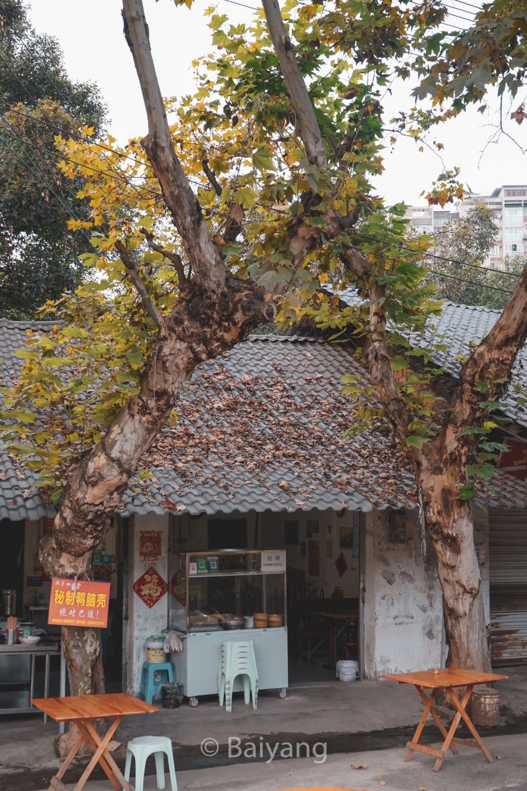 Chengdu/Chongqing-Compared to Chunxi Road, I recommend these old streets in Chengdu！