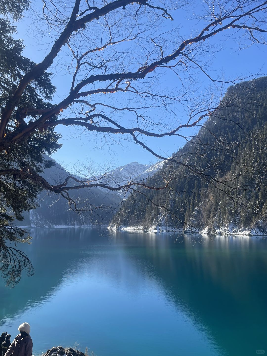 Chengdu/Chongqing-In winter, Jiuzhaigou Valley Scenic and Historic Interest Area, Sichuan, looks like a beautiful fairy tale world!