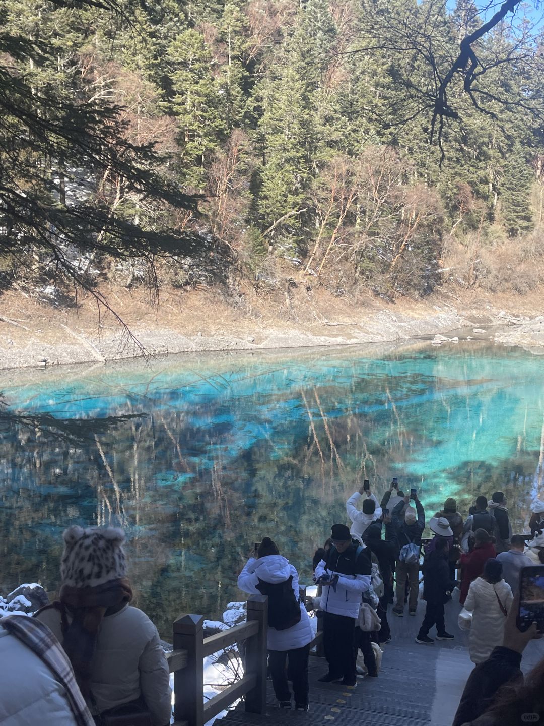 Chengdu/Chongqing-In winter, Jiuzhaigou Valley Scenic and Historic Interest Area, Sichuan, looks like a beautiful fairy tale world!