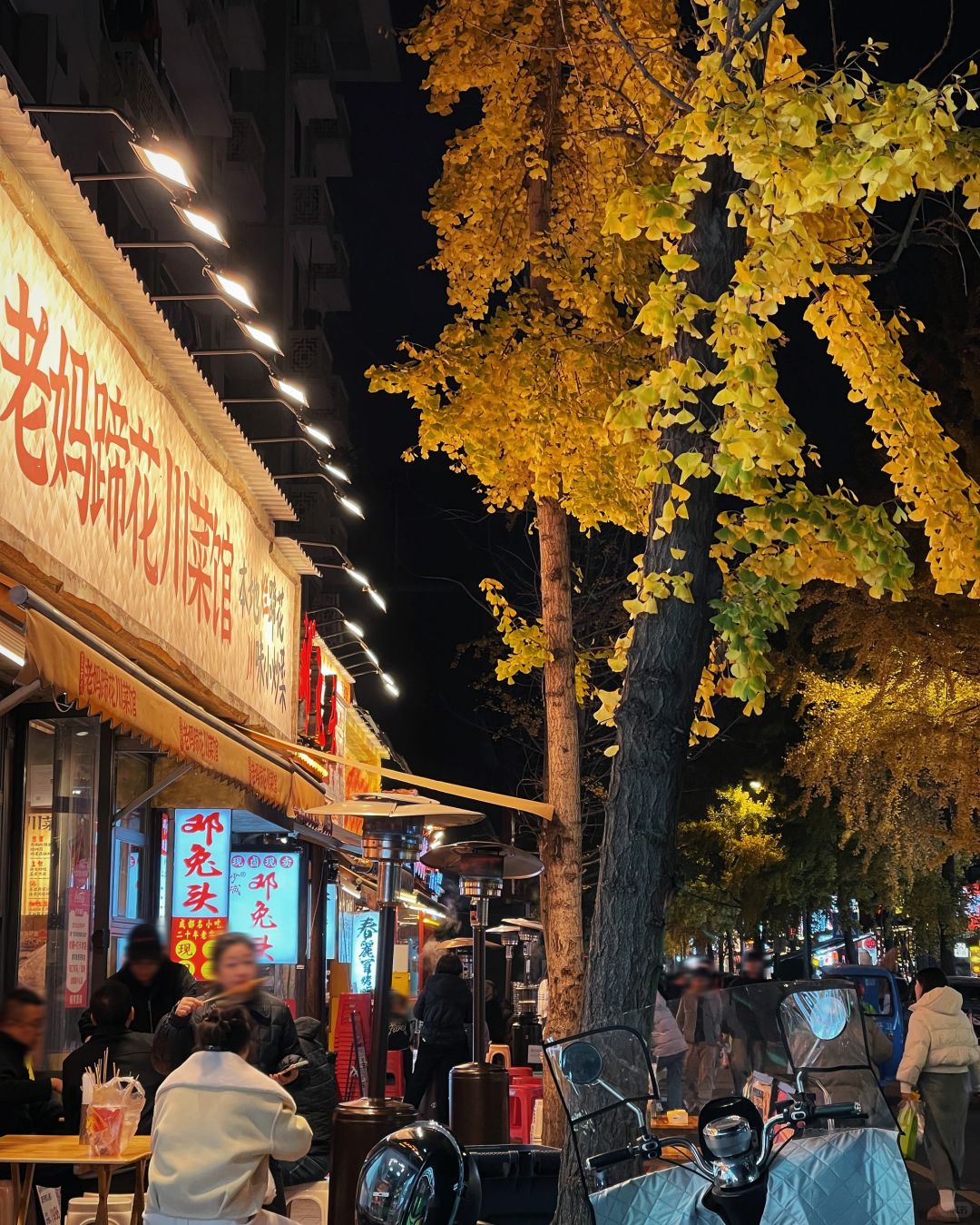 Chengdu/Chongqing-How can you not love Chengdu?It is truly one of the most worthwhile places to visit！