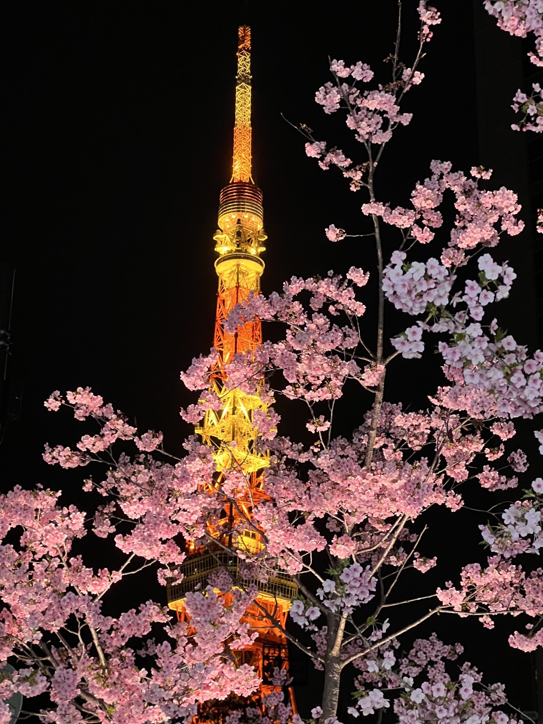 Tokyo-Traveling to Tokyo 6 days and 5 nights nanny-level guide-- Shinjuku,Atami,Kamakura,Mount Fuji
