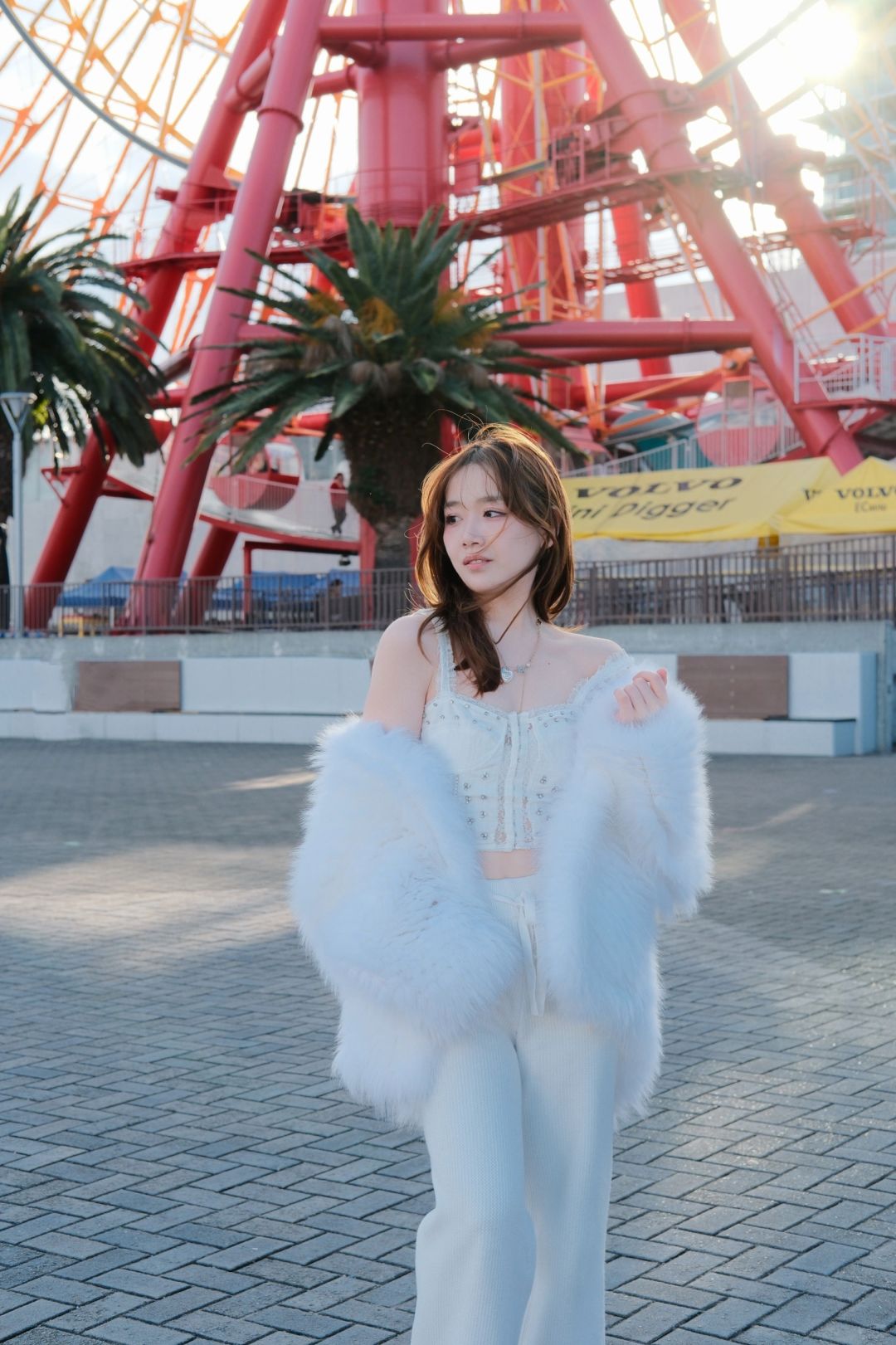 Osaka-Kansai’s favorite city Kobe:enjoy America Park and the Ferris wheel