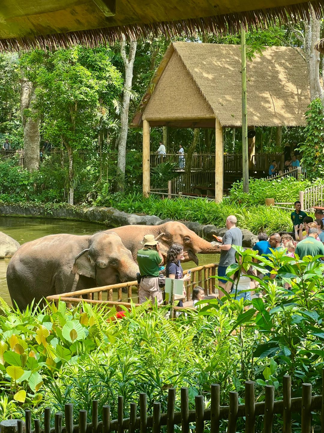 Singapore-Singapore is so interesting! Visit all the attractions in 5 days!