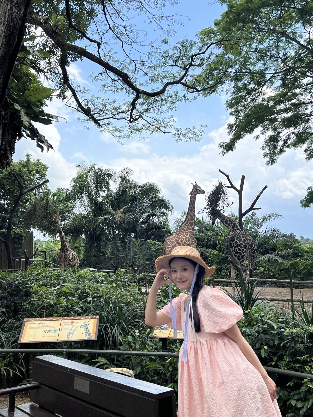 Singapore-Singapore is so interesting! Visit all the attractions in 5 days!