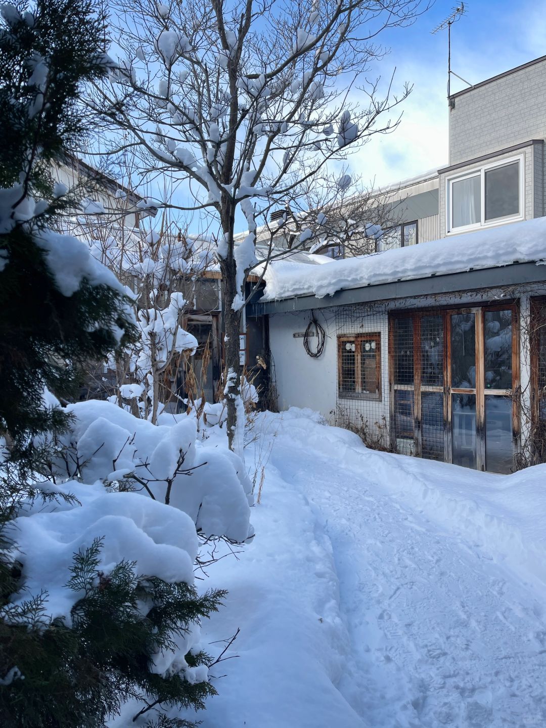 Sapporo/Hokkaido-Quiet time after snow,go to cute Patisserie Cafe Feve with good-looking and eye-catching desserts