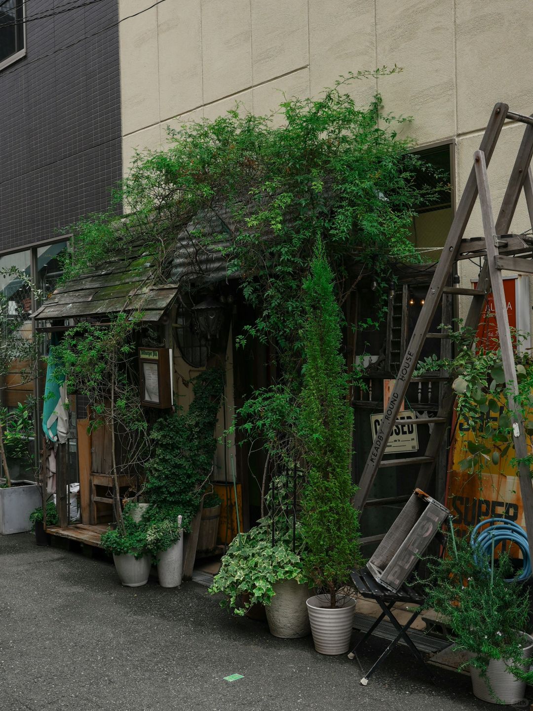 Osaka-Various interesting shops:Neel,OSA COFFEE,Salon de AManTo,Coucou amande,Brunnen and うどん屋きすけ