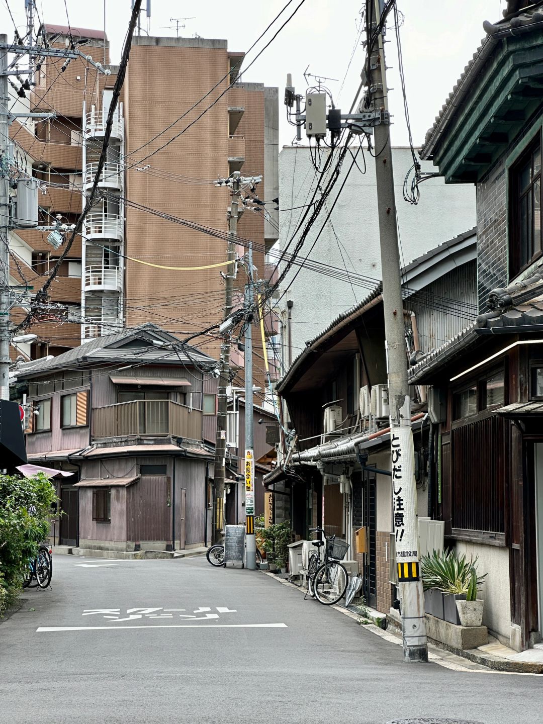 Osaka-Various interesting shops:Neel,OSA COFFEE,Salon de AManTo,Coucou amande,Brunnen and うどん屋きすけ