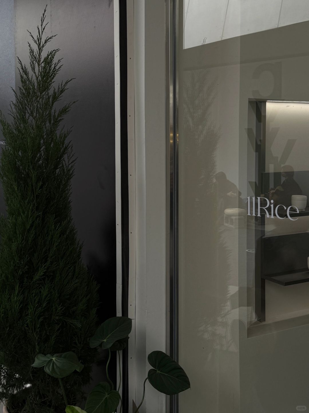 Chengdu/Chongqing-Chengdu New Store | IIRice Cafe, Don't be too avant-garde in aesthetics!