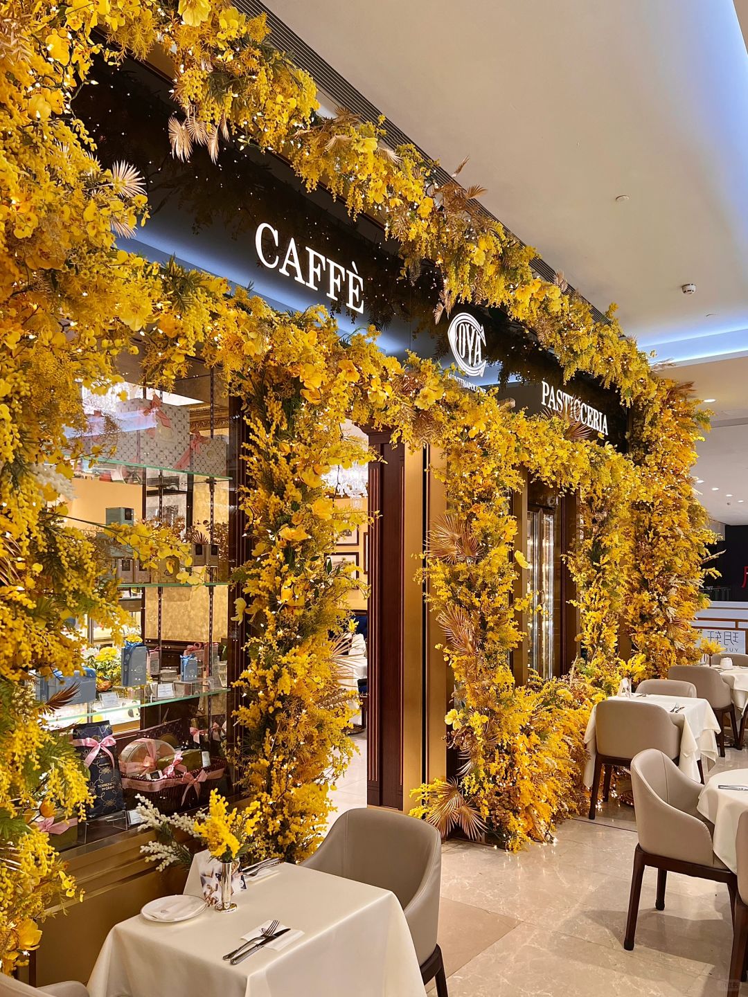 Chengdu/Chongqing-If Panda Cafe in Chengdu has limited desserts and coffee, it's too cute ‼️