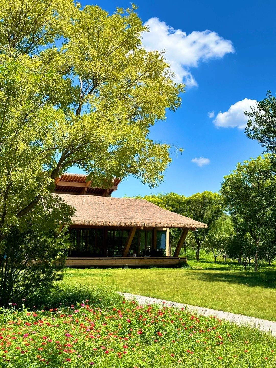 Beijing/Tianjin-Beijing Dunyuan She Forest Tree House | Who can resist the temptation of coffee and bookstores?