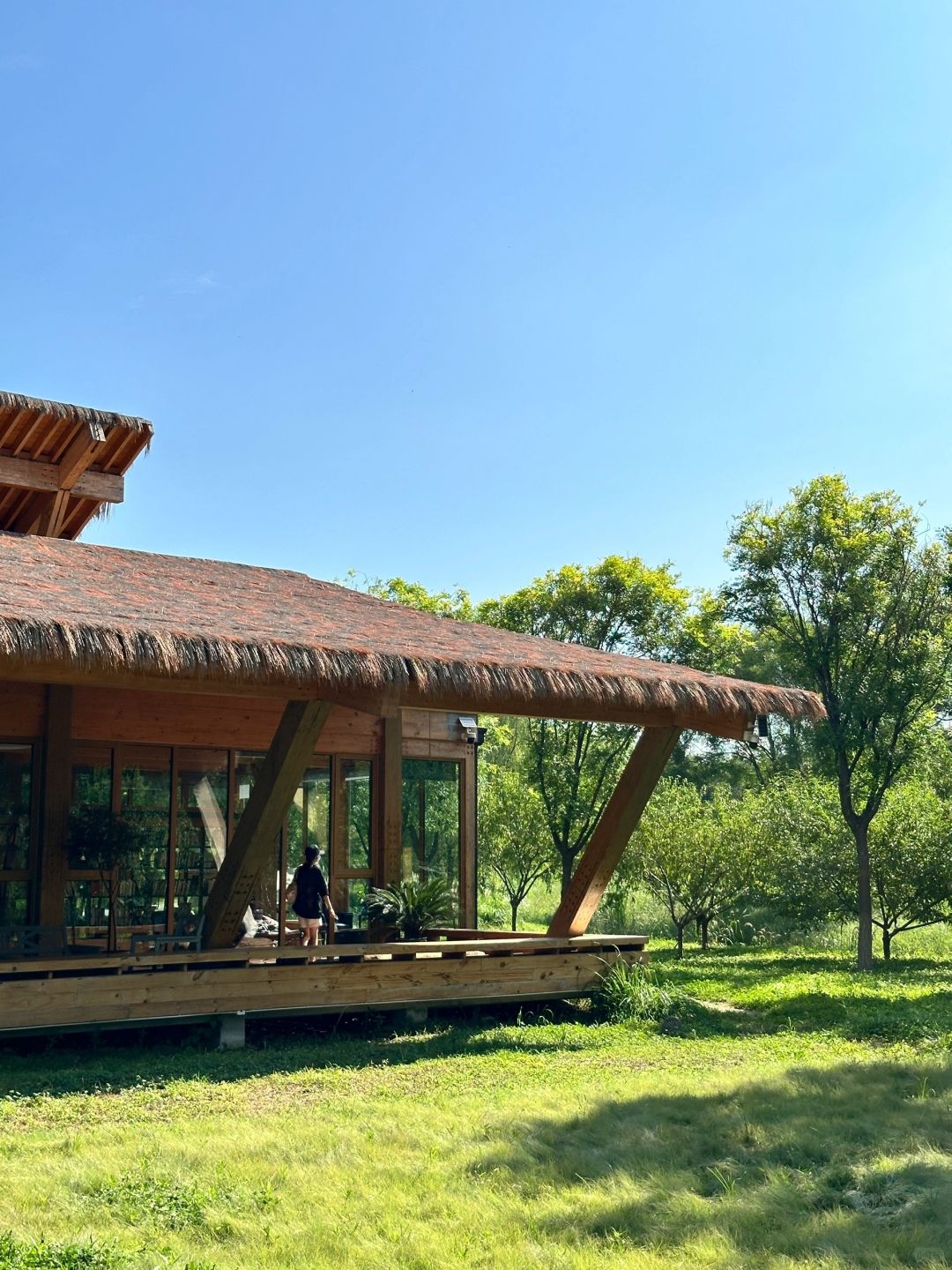 Beijing/Tianjin-Beijing Dunyuan She Forest Tree House | Who can resist the temptation of coffee and bookstores?
